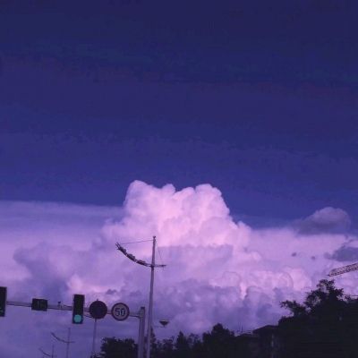 精灵宝可梦coco手游下载